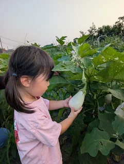長女