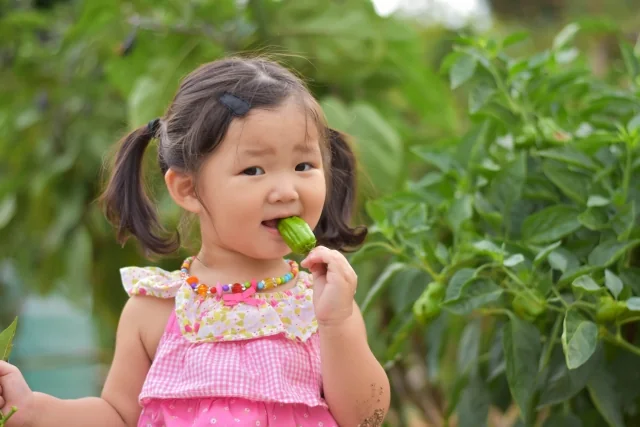 野菜を食べる子どもの笑顔